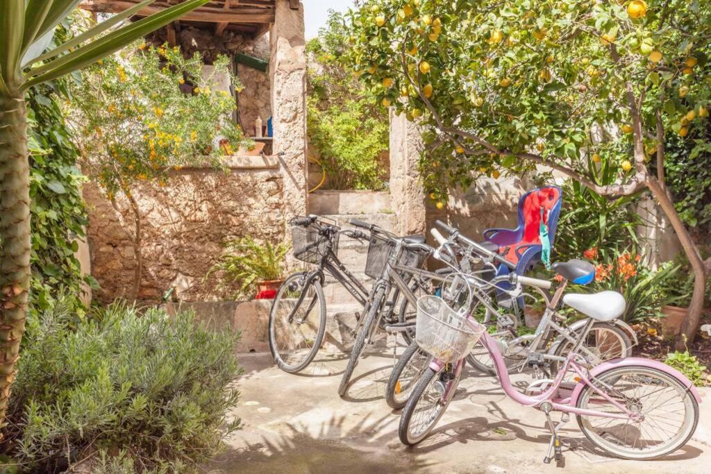 Ca Na Marreta Villa Porreres Ngoại thất bức ảnh
